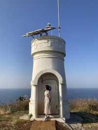 끝없는 갈대 밭, 제주 비양도🌾