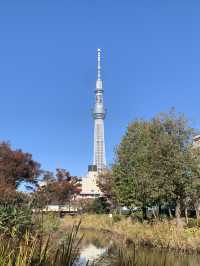 【東京都】錦糸町駅近く　大横川親水公園