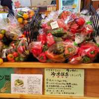 【山梨】道の駅はくしゅう