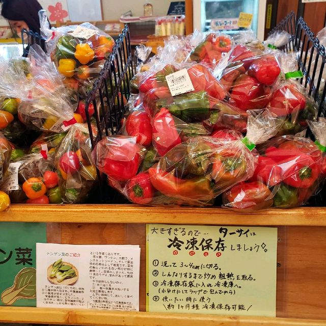 【山梨】道の駅はくしゅう