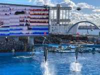 名古屋港水族館といえば🐬【イルカショー】＆名古屋港のレストラン