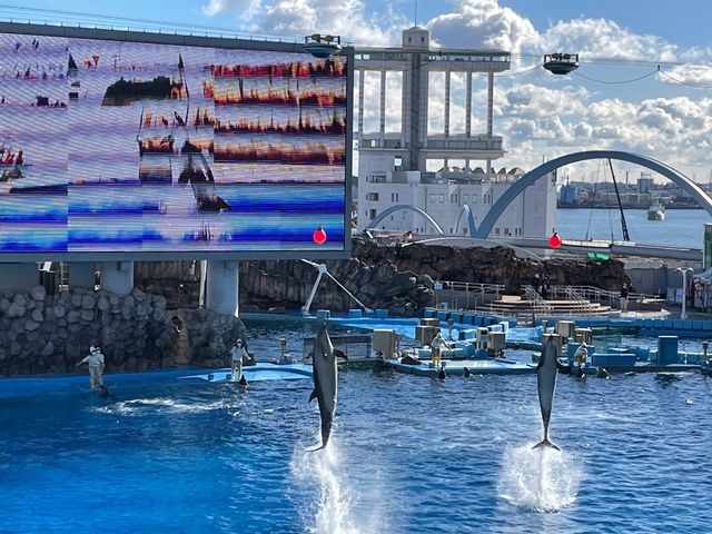 名古屋港水族館といえば🐬【イルカショー】＆名古屋港のレストラン