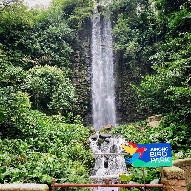 Jurong Bird Park