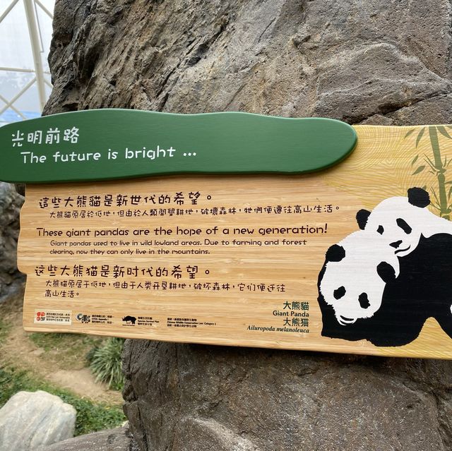 熊貓山莊