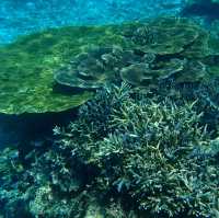 【沖縄･池間島】日本最大級の珊瑚礁！八重干瀬