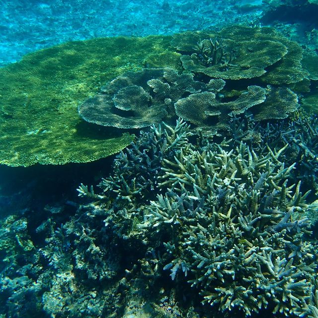 【沖縄･池間島】日本最大級の珊瑚礁！八重干瀬
