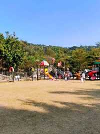 大棠有機生態園親子一日遊🌄👨‍👩‍👧‍👦