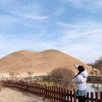 경주 포토존 여행코스 , 대릉원 