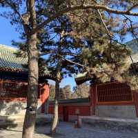 Beijing Tiantan (Temple of Heaven)