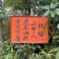鴨仔山到南圍😍欣賞自然行山之旅