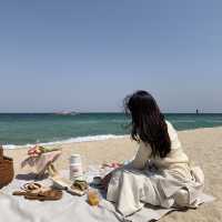 따뜻한 봄에 적격인 봄바다피크닉🏖🥐🥖☕️✨