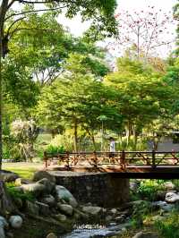 Floral Creek ที่พักสุดว้าวในสวนดอกไม้💐🌷🌸