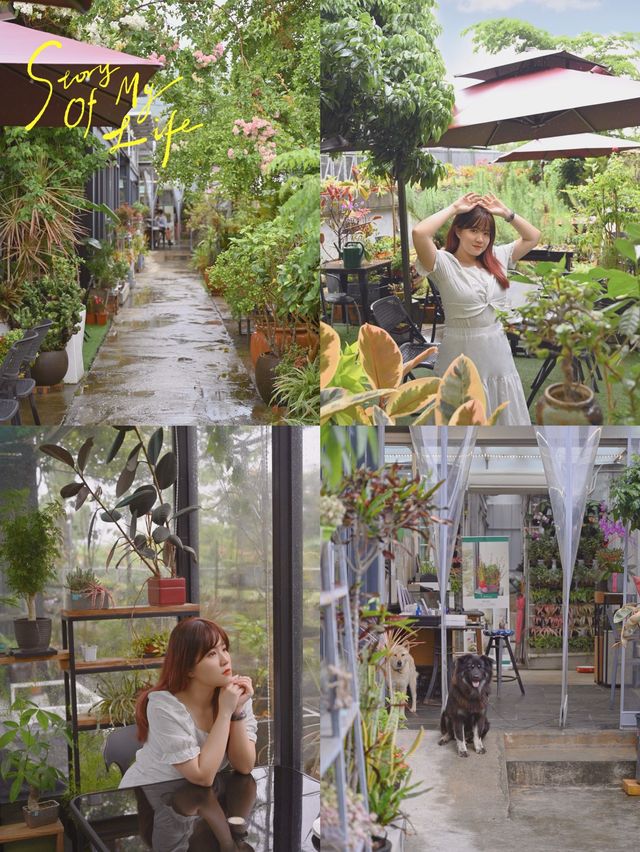📍蕉徑休閒村Innolife (上水)