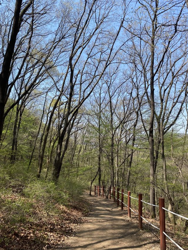 💛광교산 등산💛
