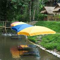 ทานอาหารกลางวัน ร้านฮิมน้ำเชียงใหม่ 