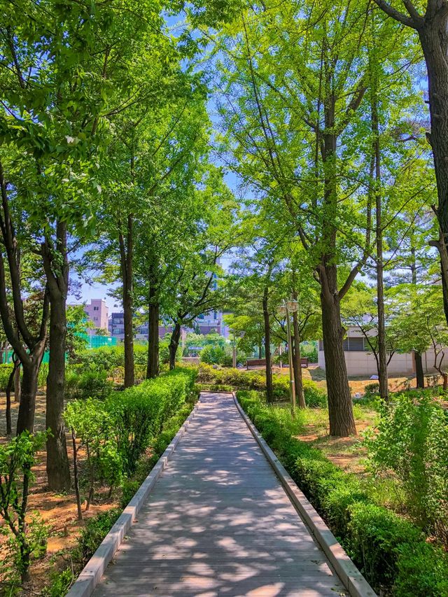 초록초록 가득한 걷기 좋은 💚 계산체육공원