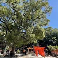 【福岡】流鏑馬神事