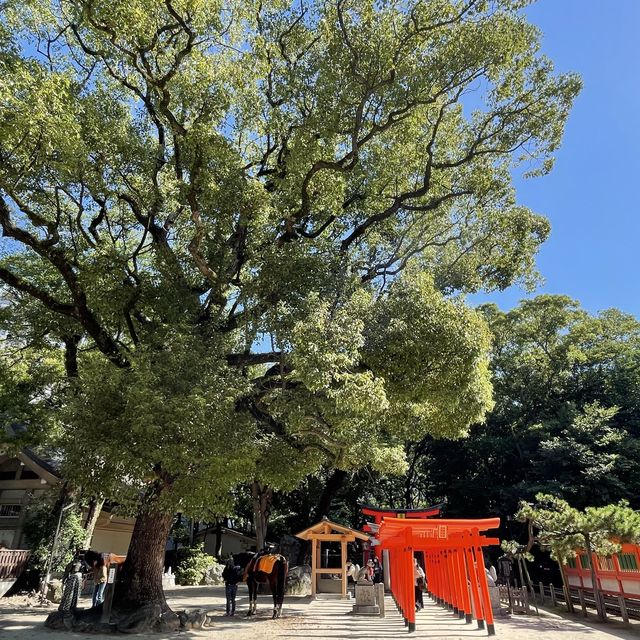 【福岡】流鏑馬神事