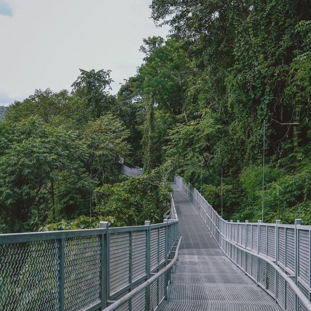  𝐂𝐚𝐧𝐨𝐩𝐲 𝐖𝐚𝐥𝐤𝐰𝐚𝐲  เชียงใหม่