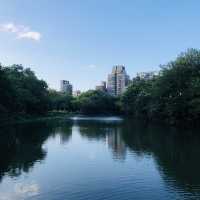 風光明媚🪷🌤Daan Forest Park 大安森林公園