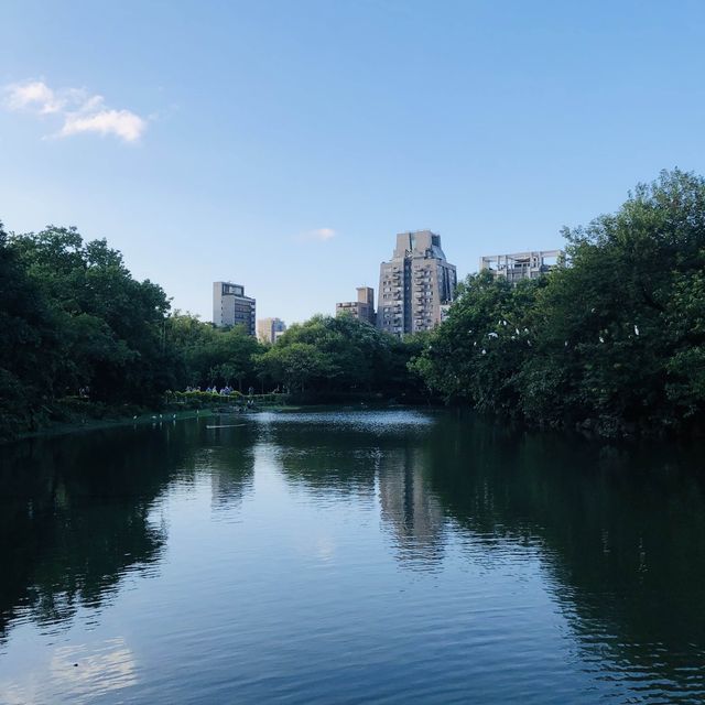 風光明媚🪷🌤Daan Forest Park 大安森林公園