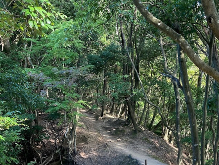 比叡山