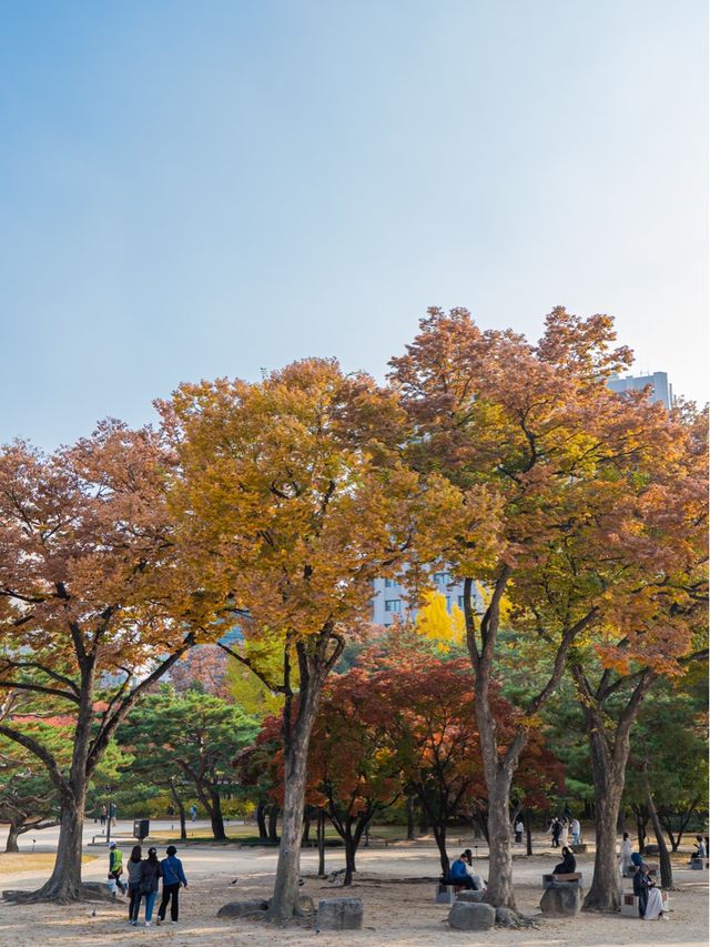 가을 피크닉가기 좋은 덕수궁 석조전 