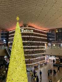 서울 크리스마스 스팟 🎄코엑스 별마당도서관