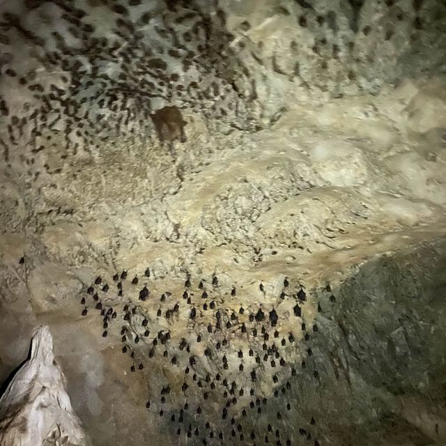 GUA KELAWAR LANGKAWI