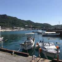 廣島景點 - 大久野島兔島
