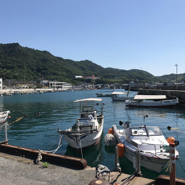 廣島景點 - 大久野島兔島