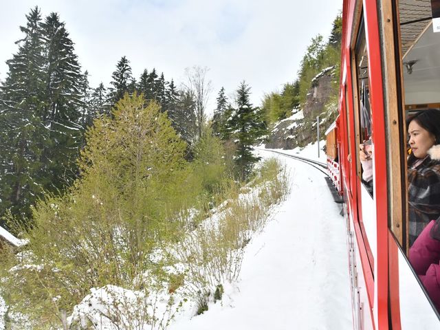 ราชินีแห่งขุนเขา Rigi 🇨🇭