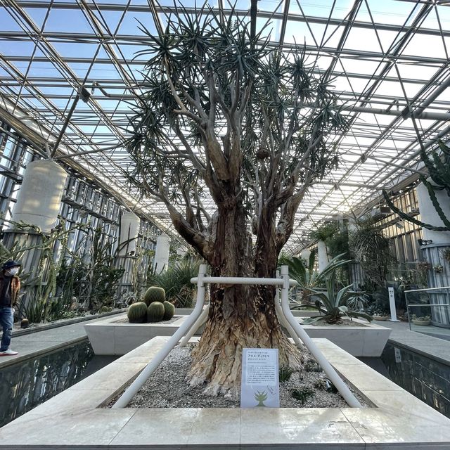 淡路島の植物散策
