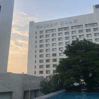 제주에서 수영장이 있는 가성비 호텔을 찾는다면 ⁉️