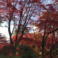 青森県　11月の弘前公園