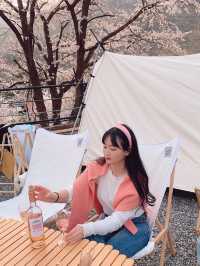 벚꽃 캠핑은 밀양 "미르오토캠핑장" 에서 !