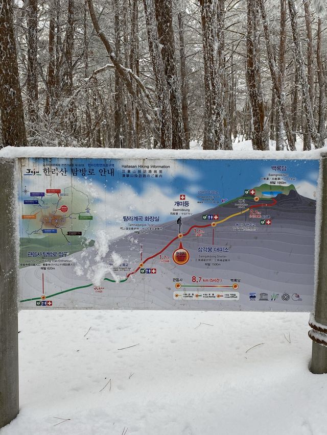 제주도 한라산은 하얗게 변했어요