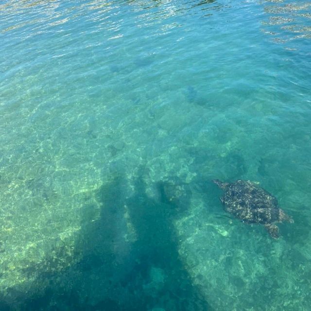 台灣小流球嶼