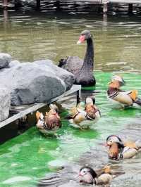 【掛川花鳥園】「花と鳥とのふれあい」が楽しめるテーマパーク