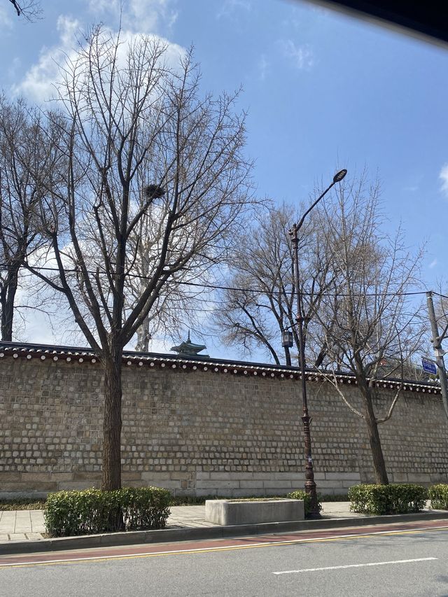 봄이 찾아올땐 삼청동 핫플레이스 PKM 가든 레스토랑으로 ❤️