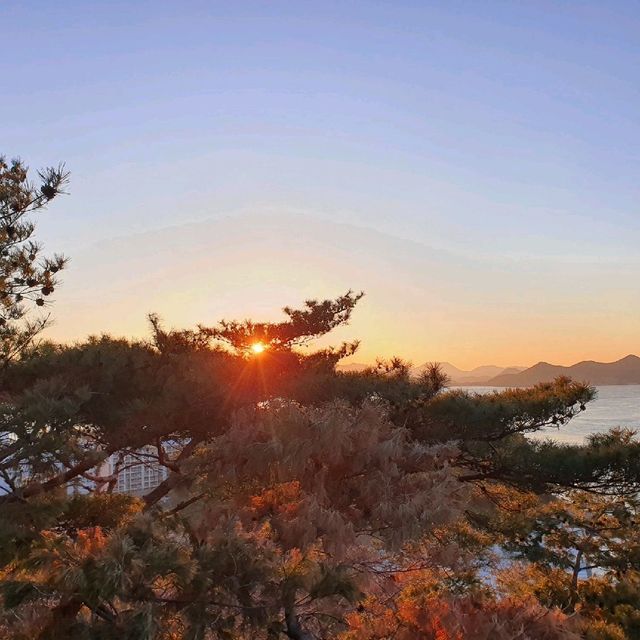 [통영] 남망산의 일출