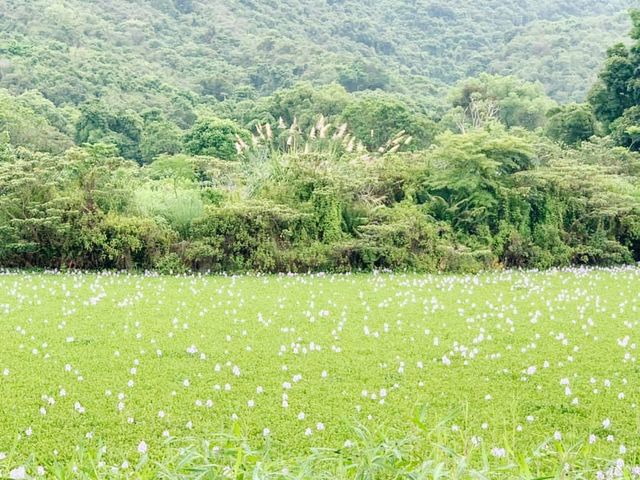 平頂坳