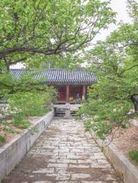 서울 한옥데이트 추천, 창경궁