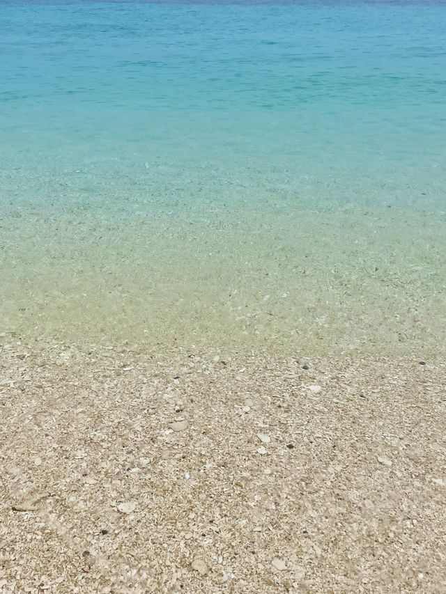 보라카이의 푸카 셸 비치를 소개합니다 🐚