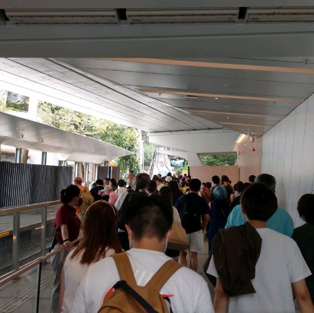 山頂纜車+凌霄閣摩天台428