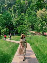 Into The Forest กระบี่