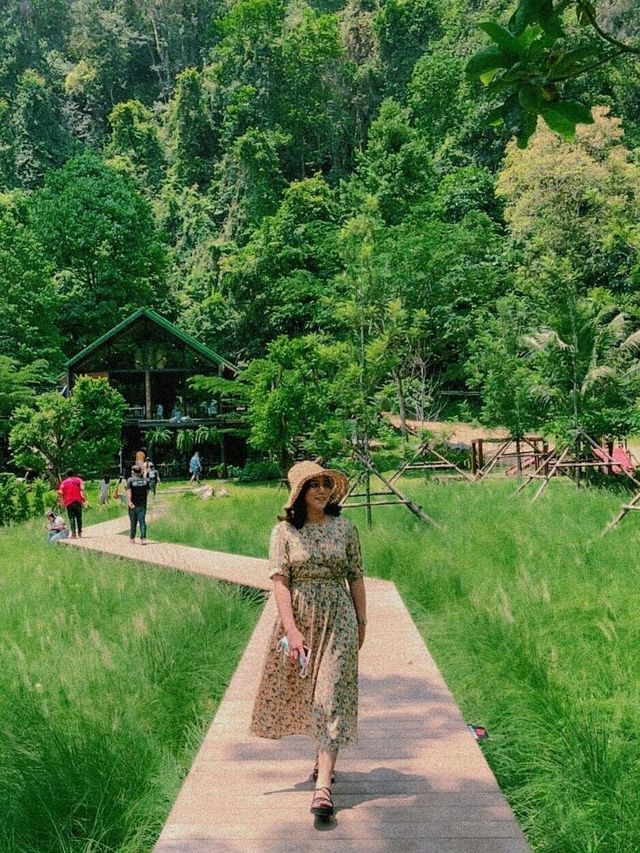 Into The Forest กระบี่