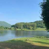 รีวิวจุดกางเต็นท์ • PHUPHA COFFEE CAMP