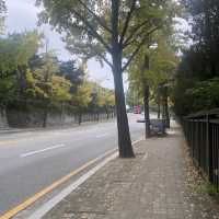 Wonderfull Namsan Park  