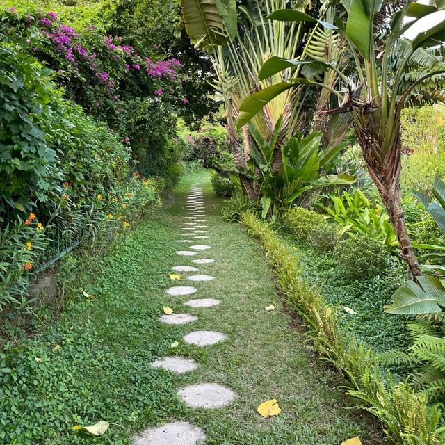 Macau Wetland of  Beach Avenue, Taipa